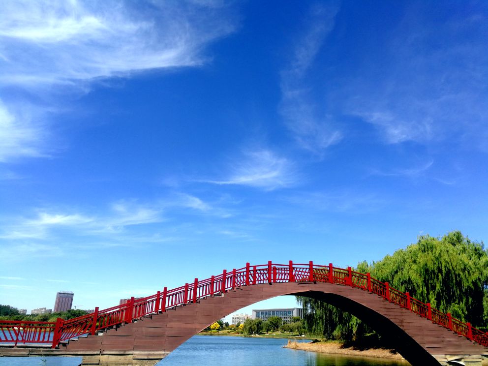 丰县飞龙湖景区介绍图片